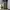 Vintage Casual pants Pria gray photo 2