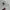 Under Armour Coquette Casual T-shirt Pria cream photo 5