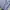 Champion Streetwear Casual Sweater Pria navy gray photo 3