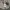 Kangol Streetwear Y2K Hoody Pria khaki photo 5