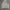 Biker Sweatshirt Pria gray photo 1
