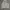 Biker Sweatshirt Pria Gray
