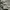 Biker Sweatshirt Pria gray photo 5