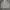 Biker Sweatshirt Pria gray photo 4