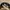 Salomon Gorpcore Sportswear Hat Pria tan khaki photo 3