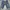 Levi's Casual Casual Pants Pria Blue