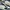 Nike Streetwear Skater Sneakers Pria cream blue photo 2