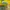 Casual Polo shirt Pria yellow photo 3