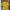 Casual Polo Shirt Pria Yellow