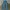 Wrangler Vintage Y2K Flare pants Wanita blue photo 7