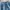 Wrangler Vintage Y2K Flare pants Wanita blue photo 3