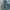 Wrangler Vintage Y2K Flare pants Wanita blue photo 8
