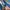 Casual Short Pria navy photo 3