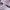 Nike Casual Reworked Sneakers Wanita white pink photo 2