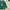 Canterbury Luxury Casual Polo shirt Pria white green photo 3