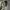 MLB Y2K Skater Hat Pria white gray photo 4