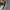 MLB Y2K Skater Hat Pria white gray photo 3