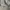 MLB Y2K Skater Hat Pria white gray photo 5