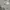 Von Dutch Streetwear Casual Cardigan Pria gray photo 2