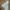 Von Dutch Streetwear Casual Cardigan Pria Gray