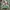 Adidas Casual Batik Windbreaker Wanita green photo 1