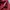 Levi's Vintage Y2K Hoody Pria burgundy red photo 5