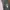 Streetwear Muslim Trench coat Wanita pink gray photo 2