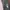 Streetwear Muslim Trench Coat Wanita Pink Gray