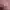 Streetwear Muslim Trench coat Wanita pink gray photo 6
