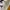 Stussy Streetwear T-shirt Pria multicolor photo 5