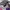 Hurley Casual Sweatshirt Pria multicolor photo 4