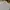 Polo Ralph Lauren Minimalist Casual Formal shirt Pria white gray photo 3