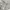 Lafudge Streetwear Casual Formal shirt Pria green photo 3