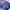 Gorpcore Windbreaker Pria purple photo 6