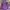 Polo Ralph Lauren Luxury Casual Formal Shirt Pria Purple