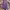 Polo Ralph Lauren Luxury Casual Formal shirt Pria purple photo 3
