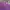 Polo Ralph Lauren Luxury Casual Formal shirt Pria purple photo 2