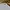 Polo Ralph Lauren Casual Formal shirt Pria white blue photo 3