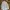 Polo Ralph Lauren Casual Formal Shirt Pria White Blue
