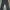 Versace Vintage Jeans Pria navy blue photo 2