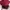 Luxury Casual Messenger bags & Satchel Wanita burgundy photo 5