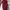 Luxury Casual Messenger bags & Satchel Wanita burgundy photo 4