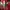 Adidas Streetwear Luxury Sweater Pria multicolor photo 6