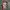 Adidas Streetwear Luxury Sweater Pria multicolor photo 3