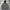 Nike Sportswear Casual Hoody Pria Gray