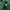 GAP Streetwear Hoody Pria green photo 4