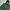 GAP Streetwear Hoody Pria green photo 2