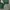 GAP Streetwear Hoody Pria green photo 3