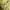 have a good time Minimalist Hoody Pria yellow photo 7