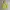 have a good time Minimalist Hoody Pria yellow photo 1